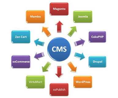 CMS Web Development Company in Allahabad