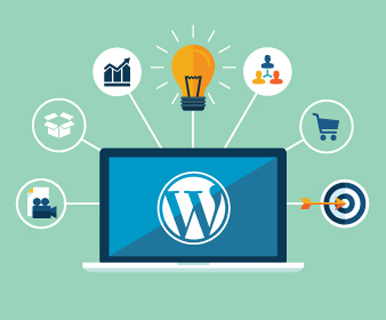 Wordpress Development Company in Jaipur