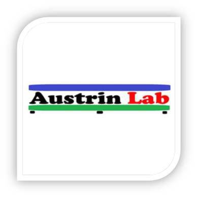 SD Websolutions Portfolio: Austrin Lab