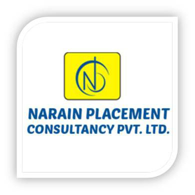 SD Websolutions Portfolio:Narain Placement Consultancy Pvt.Ltd