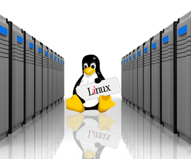 Linux Hosting Service Provider in Kolkata